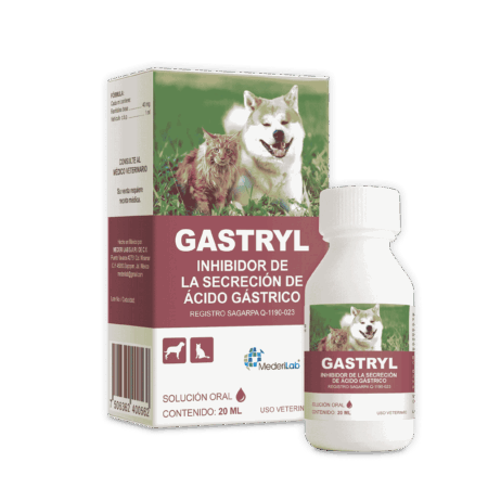 GASTRYL SUSP. ORAL (20 ML)