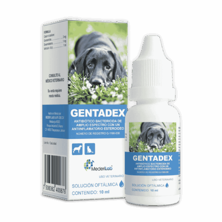 GENTADEX (10 ML)