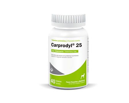 CARPRODYL (25 MG) (40 TABS)