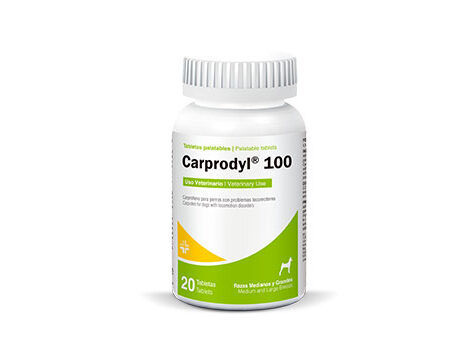 CARPRODYL (100 MG) (20 TABS)