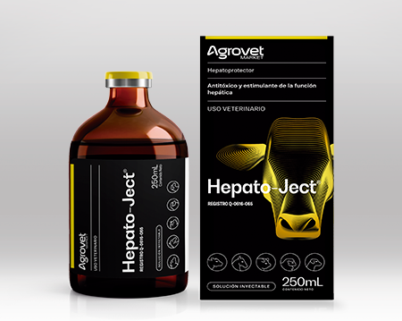 HEPATO-JECT X (100 ML)