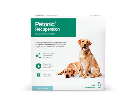 PETONIC RECUPERATION (110 ML)