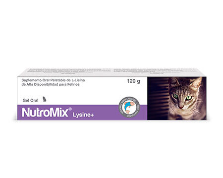 NUTROMIX LYSINE (120 G)