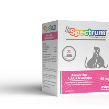 Rx Spectrum Amoxicilina Ácido-Clavulánico - 50 mg (20 TABS)