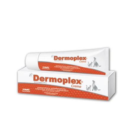 RX DERMOPLEX CREMA (60 G)