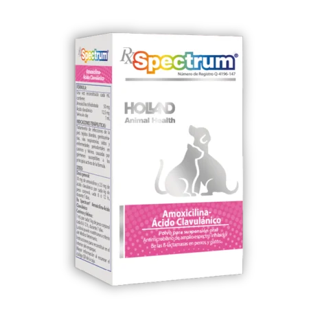 Rx Spectrum Amoxicilina Ácido-Clavulánico - Polvo para Suspensión