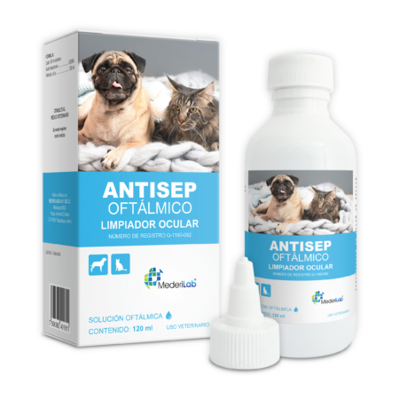 ANTISEP (120 ML)