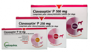 CLAVASEPTIN (250 MG) (100 COMP.)