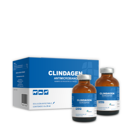 CLINDAGEN (25 ML)