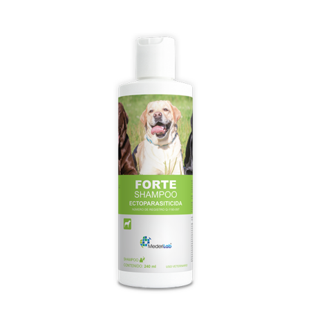 FORTE SHAMPOO (240 ML)