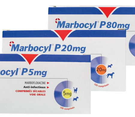 MARBOCYL P (5 MG)