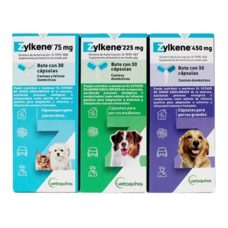 ZYLKENE (450 MG) P 30