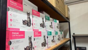 WhatsApp Image 2026-01-09 at 4.08.57 PM