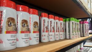 WhatsApp Image 2026-01-09 at 4.09.33 PM