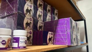 WhatsApp Image 2026-01-09 at 4.10.06 PM